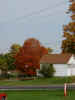pa220089.jpg (67878 bytes)