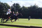 polo7.jpg (45340 bytes)